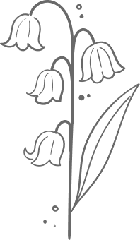 Divisor floral botânico